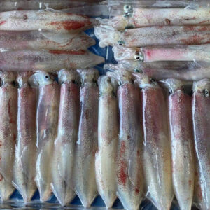 Mực Ống Lao Câu (10-14con/ kg)