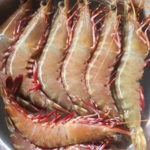 Tôm sú biển tự nhiên (22-26 con 390K/ kg)