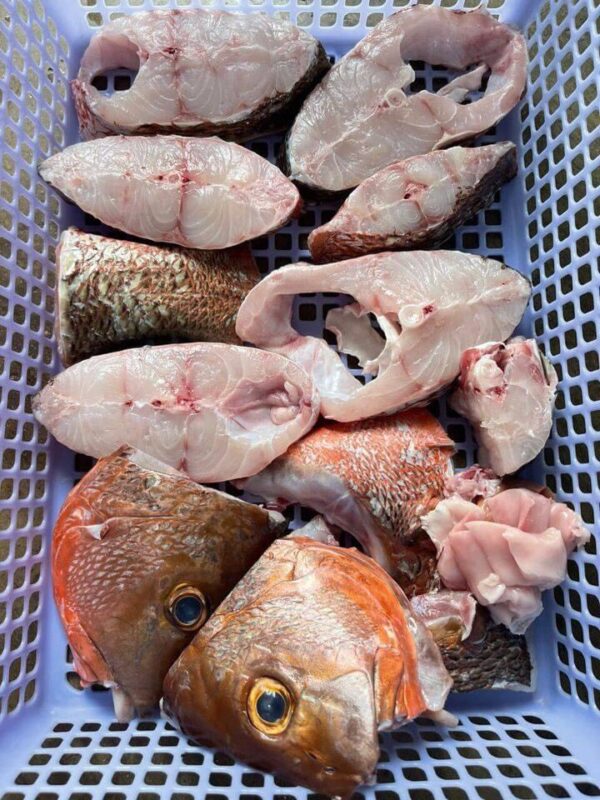 Xả Cá Hồng theo yêu cầu