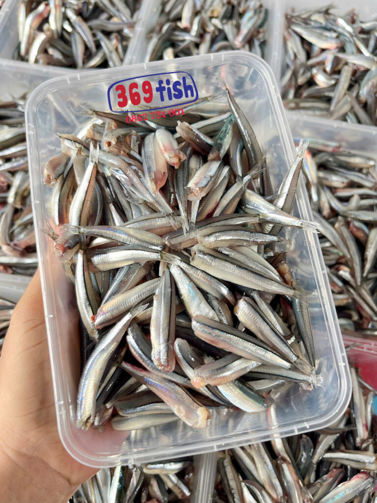 Cá cơm săn là loại cá cơm xương mảnh dẻ , thịt săn, có thể ăn cả xương