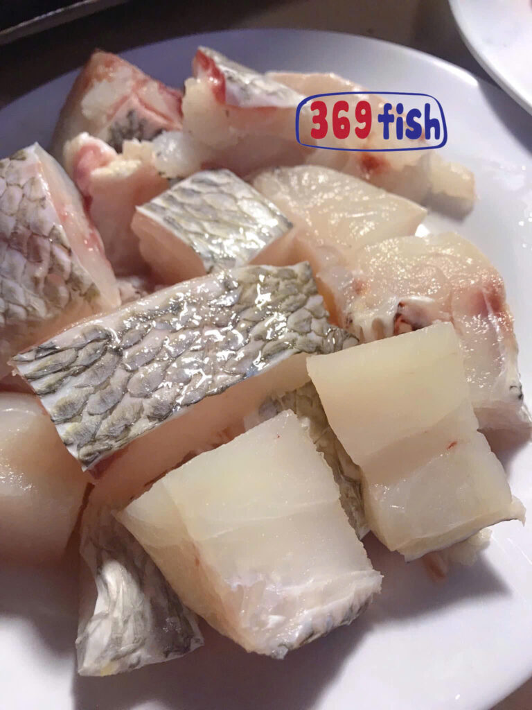 Cá gáy biển