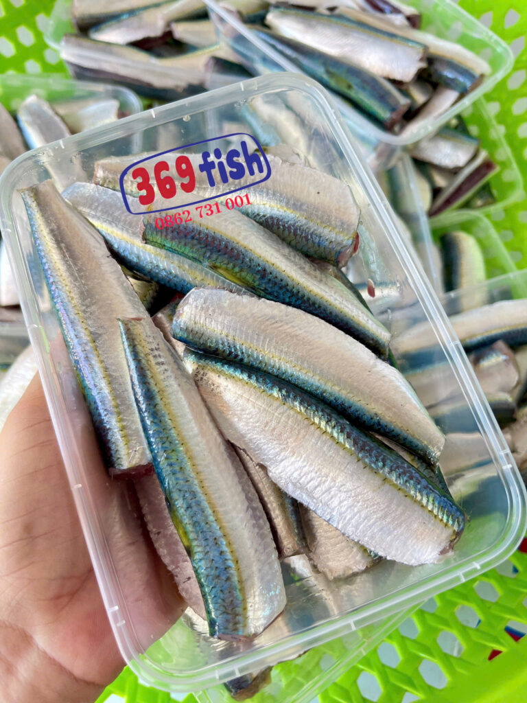 Cá trích tươi giàu omega 3