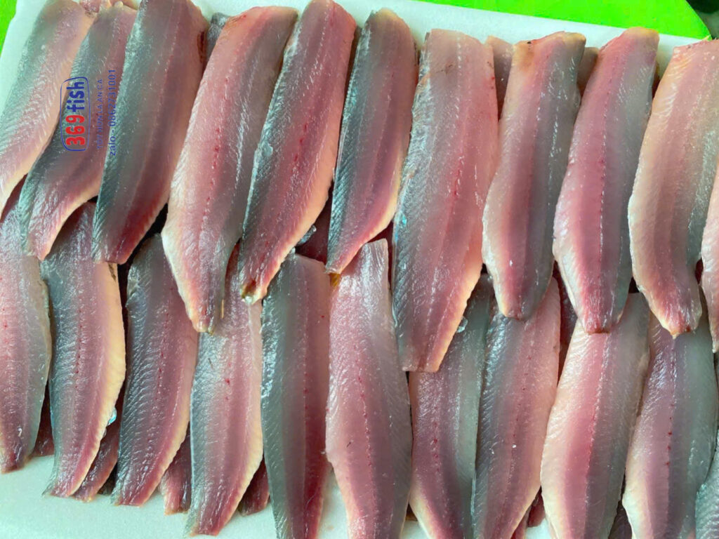 Cá trích phi lê tại sài gòn