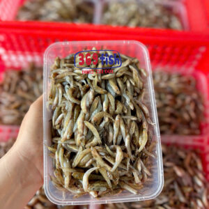 Cá bống mủng