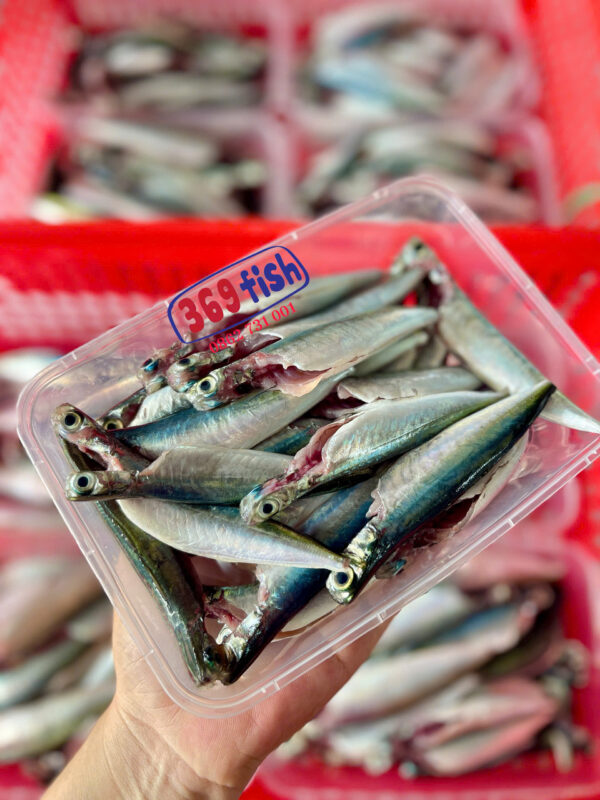 Cá nục suông nhí siêu ngon