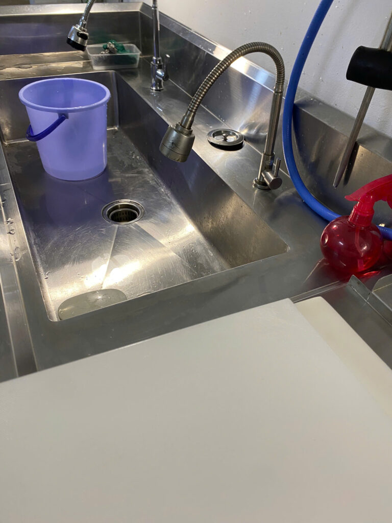 Cá biển tại sài gòn