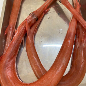 Cá chìa vôi câu ( 600g-1.5kg/ 1 con)